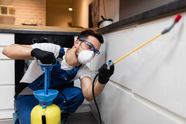 Best Insect Control  in Three Rivers, CA