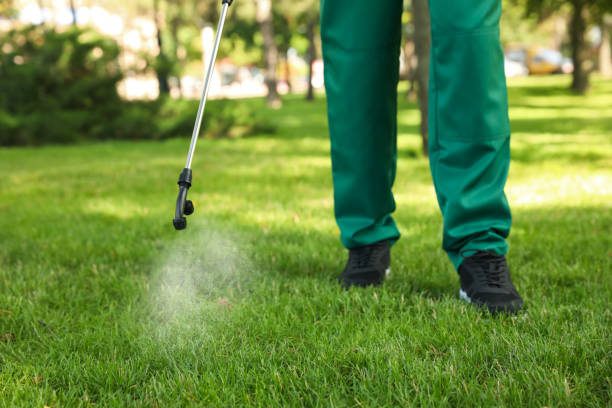 Best Pest Control Near Me  in Three Rivers, CA