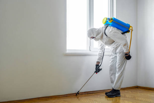 Best Pest Inspection Near Me  in Three Rivers, CA