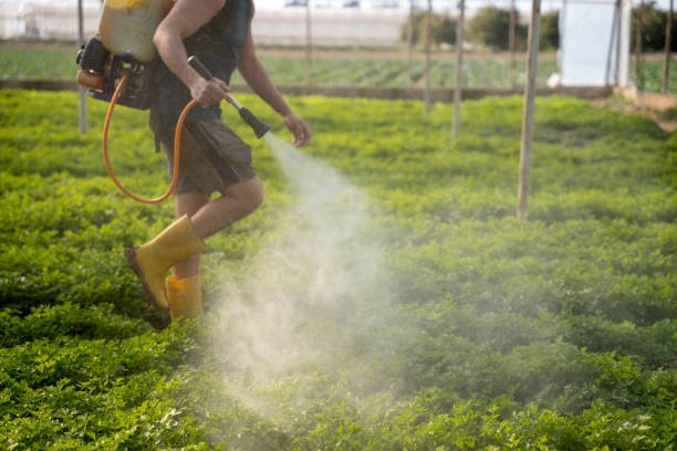 Best Pest Removal Services  in Three Rivers, CA