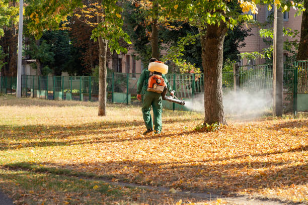 Best Wasp Removal Services  in Three Rivers, CA