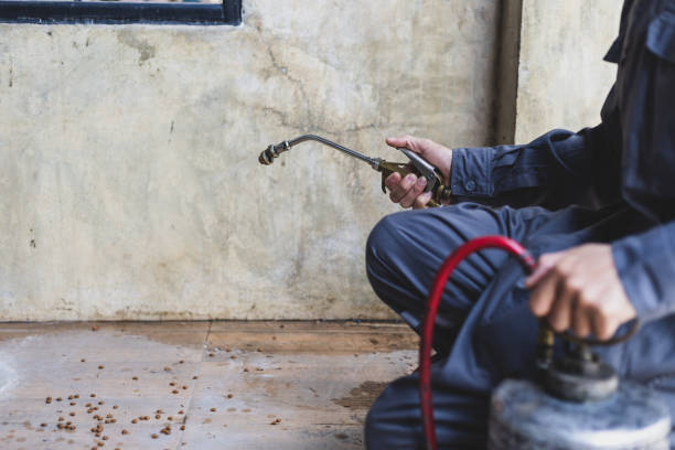 Best Wasp Removal Services  in Three Rivers, CA