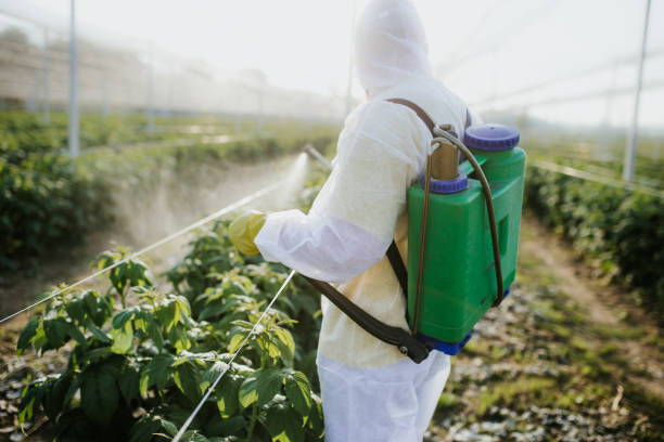 Best Mosquito Control Services  in Three Rivers, CA
